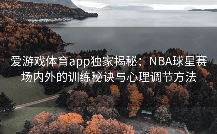 爱游戏体育app独家揭秘：NBA球星赛场内外的训练秘诀与心理调节方法